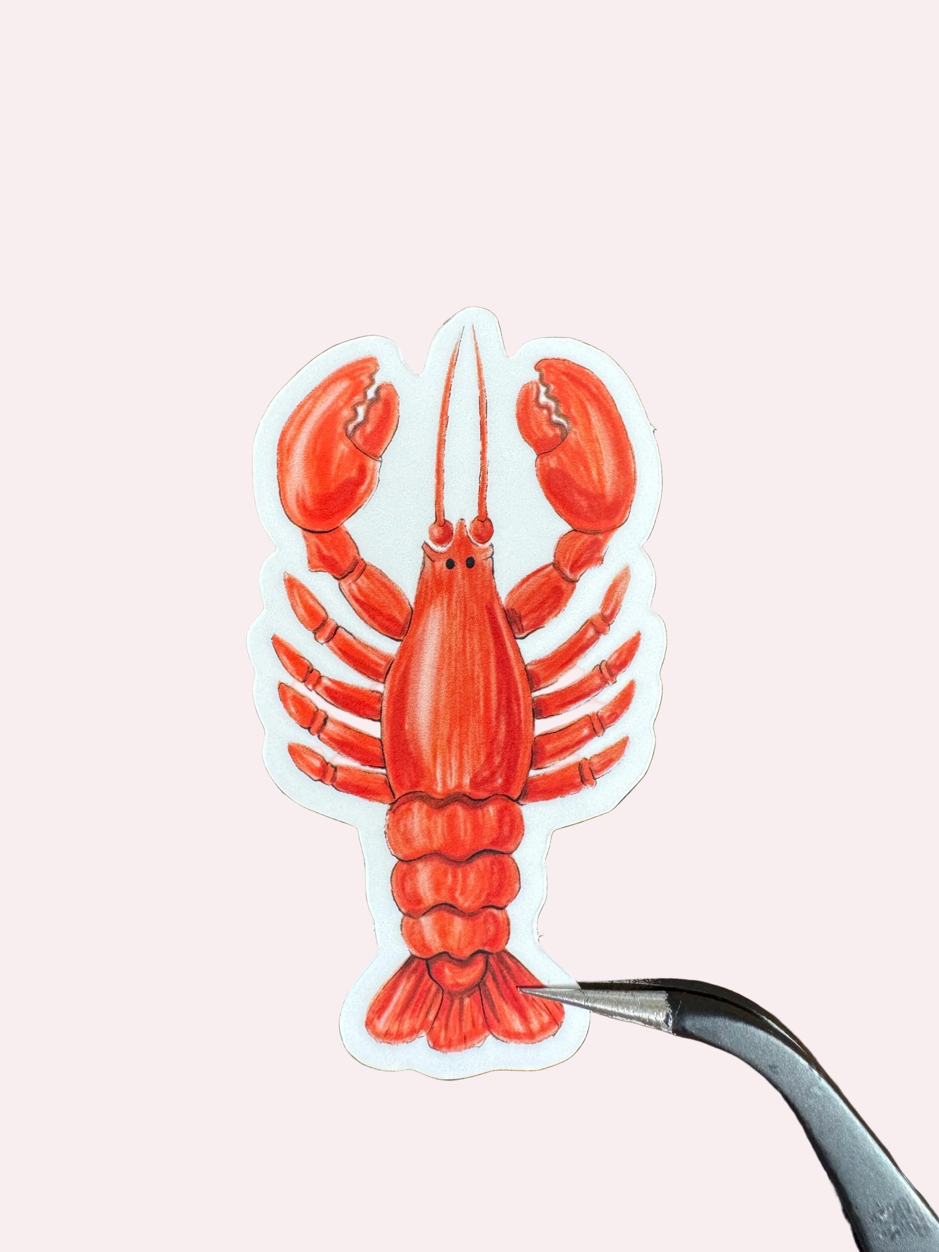A die-cut sticker of a red lobster on a white background, held by a pair of tweezers over a brown wood-grain surface.